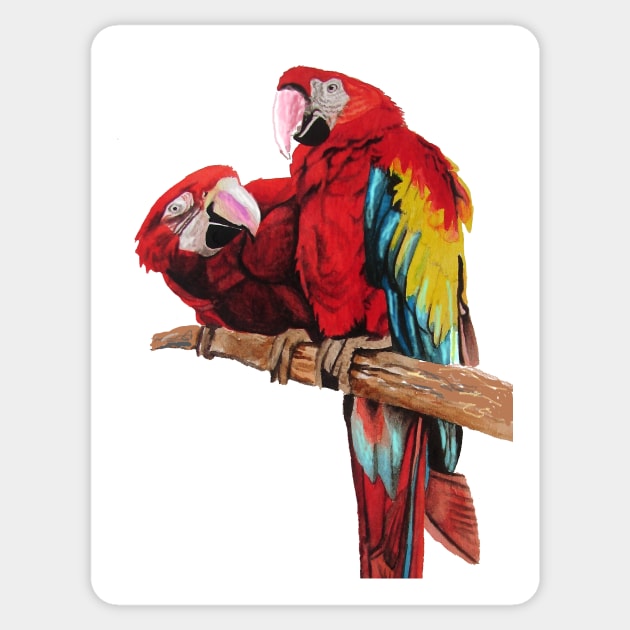 Macaw Watercolor Painting art Sticker by SarahRajkotwala